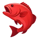 red fish